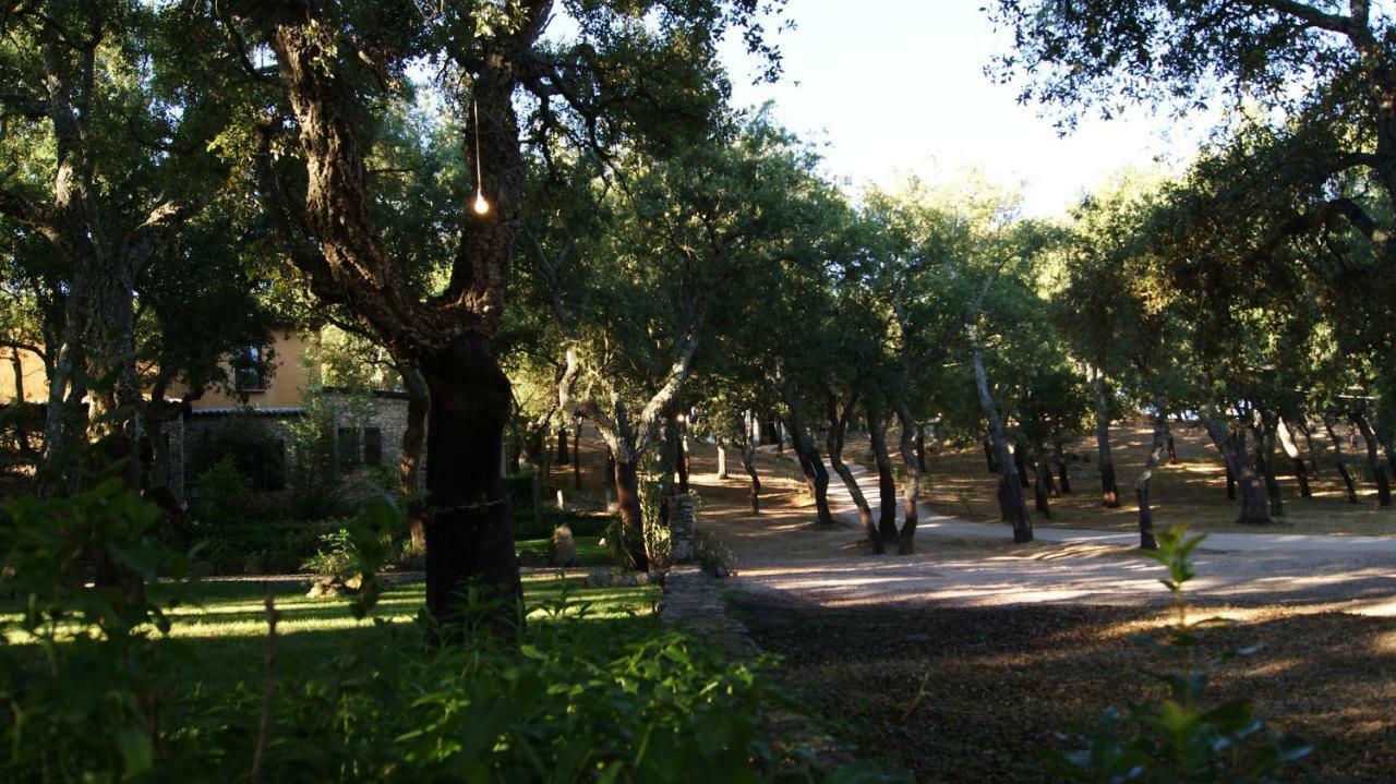 Le Sughere Padru Екстериор снимка